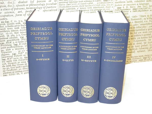 Pocket Modern Oxford Welsh Dictionary: English-Welsh - Oxford Reference